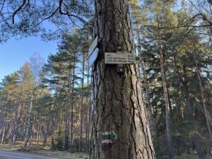 img-3938