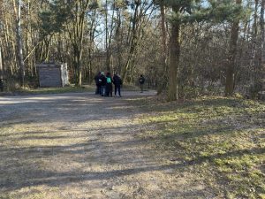 img-3941