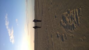 wp-20160514-20-32-10-pro