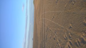 wp-20160514-20-33-08-pro