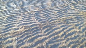 wp-20160514-20-33-49-pro