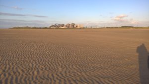 wp-20160514-20-34-59-pro