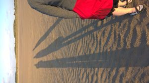 wp-20160514-20-35-07-pro