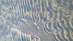 wp-20160514-20-35-19-pro