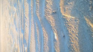 wp-20160514-20-54-45-pro