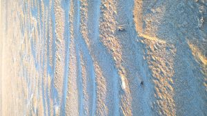 wp-20160514-20-54-47-pro