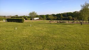 wp-20160516-07-49-49-pro