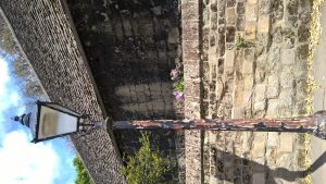 wp-20160516-13-52-53-pro
