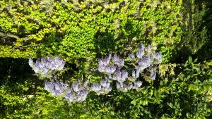 wp-20160516-15-04-11-pro