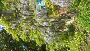 wp-20160516-15-04-55-pro
