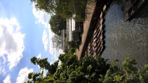 wp-20160516-15-25-46-pro
