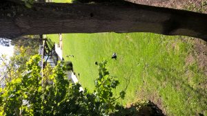 wp-20160516-15-27-54-pro