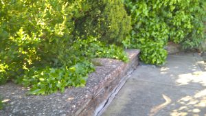 wp-20160516-17-52-50-pro