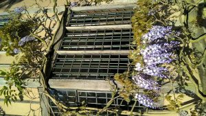 wp-20160516-18-36-38-pro