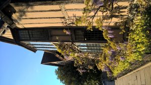 wp-20160516-18-36-56-pro