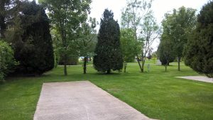 wp-20160517-17-34-08-pro