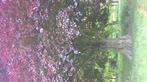 wp-20160518-10-55-18-pro