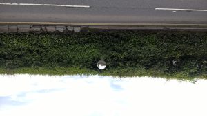 wp-20160518-13-47-20-pro