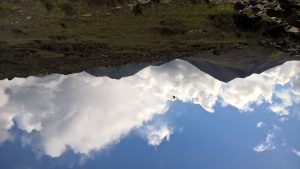 wp-20160522-10-51-03-pro