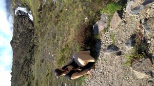 wp-20160522-10-53-15-pro