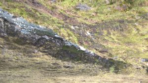 wp-20160522-19-35-03-pro