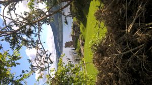 wp-20160523-11-18-19-pro