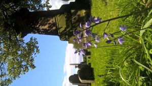 wp-20160523-14-18-46-pro
