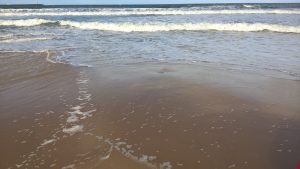 wp-20160524-18-09-58-pro