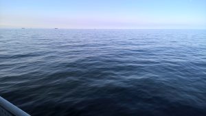 wp-20160526-07-26-34-pro