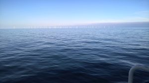 wp-20160526-07-26-39-pro