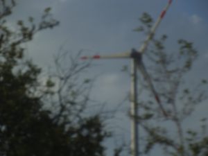 DSCF5151