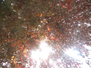 DSCF5190
