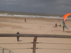 DSCF5201