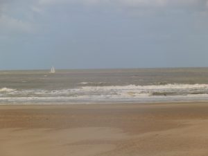 DSCF5209