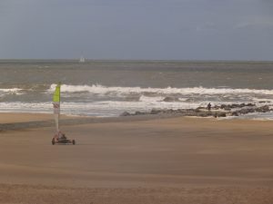 DSCF5211
