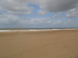 DSCF5215