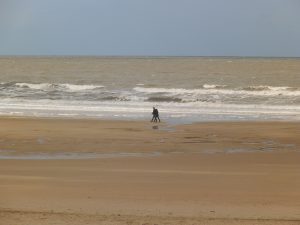DSCF5218