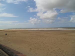 DSCF5219