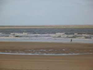 DSCF5222