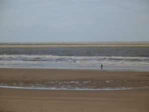 DSCF5223