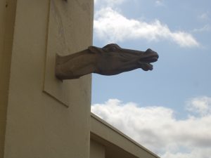 DSCF5229