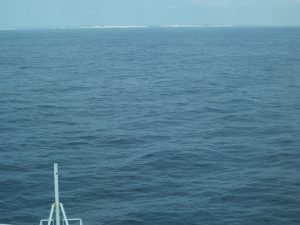 DSCF5275
