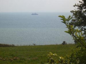 DSCF5304