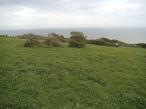 DSCF5322