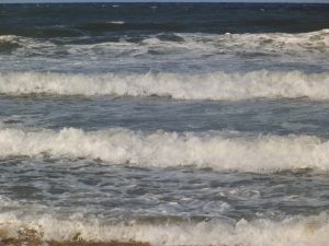 DSCF6463