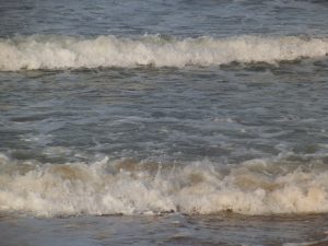DSCF6467