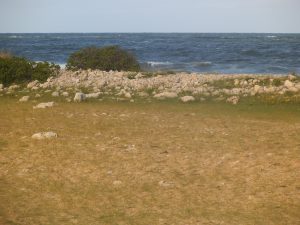 DSCF6476