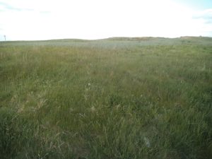 DSCF6480