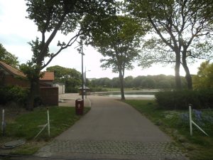 DSCF6513