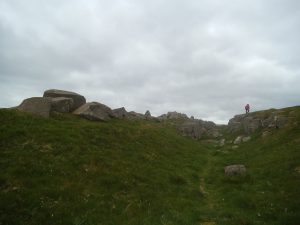 DSCF6541